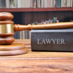 Immigration and UKVI Updates